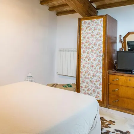 Mignola By Mmega פרוג'ה