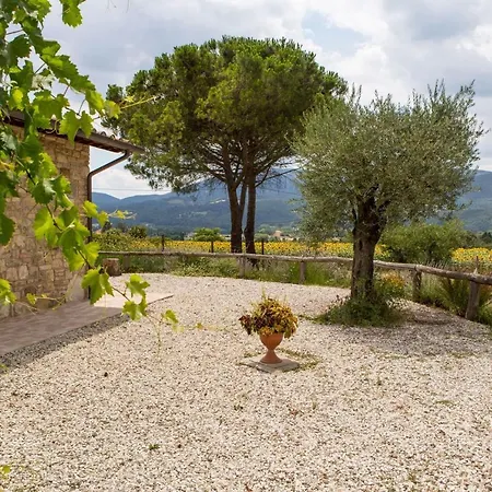 Mignola By Mmega * פרוג'ה