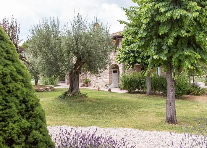 Mignola By Mmega Perugia