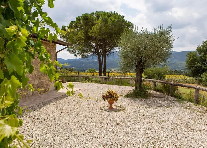 Mignola By Mmega * Perugia