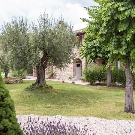 Mignola By Mmega Perugia